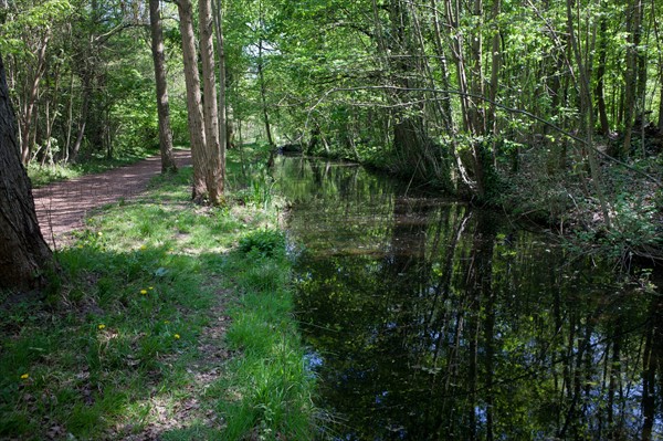 Bois De Vincennes, Allee