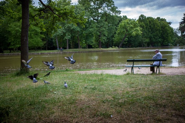 Bois De Boulogne,Etang Du Reservoir