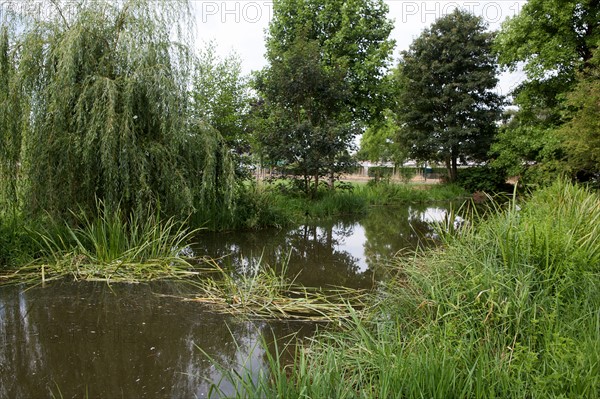 Bois De Boulogne, Riviere A  Proximite D El Hippodrome De Longchamp