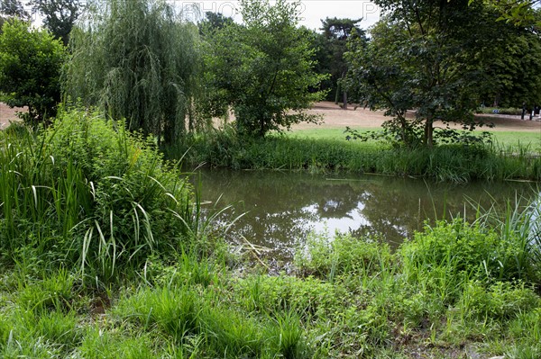 Bois De Boulogne, Riviere A Proximite D El Hippodrome De Longchamp