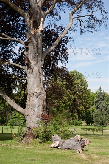 Bois De Boulogne, Le Pré Catelan