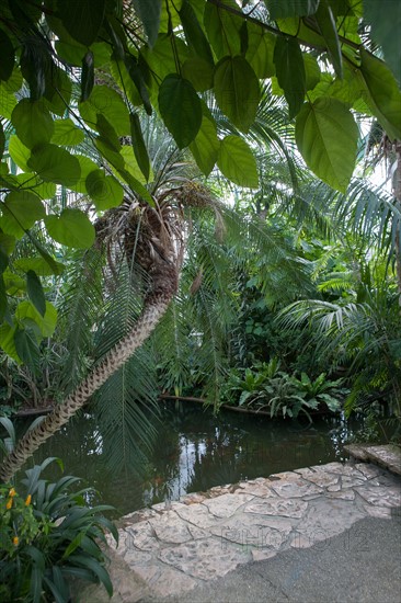 Orée du Bois De Boulogne, Jardins Des Serres D'Auteuil