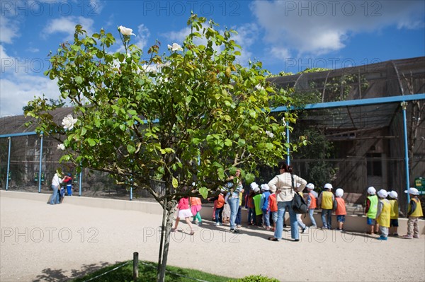 Jardin d'Acclimatation, Grande Volière