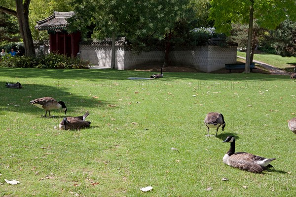 Jardin d'Acclimatation,