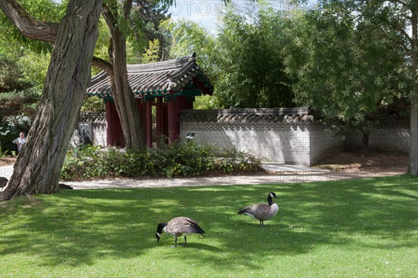 Neuilly sur Seine, Jardin d'Acclimatation