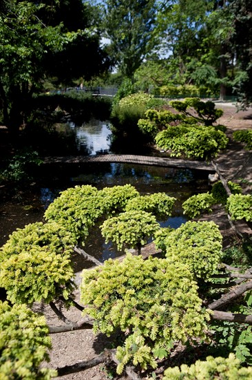 Jardin d'Acclimatation,