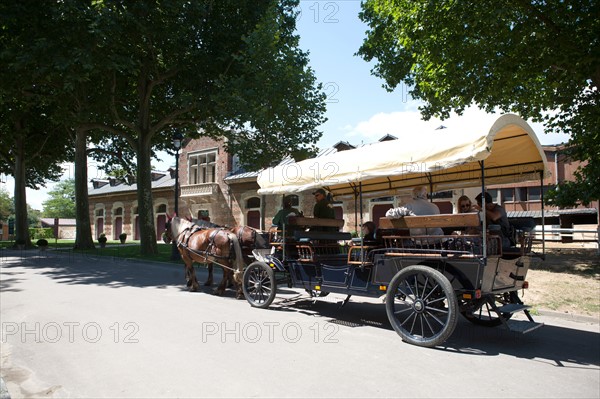 Jardin d'Acclimatation, Lac Dujardin