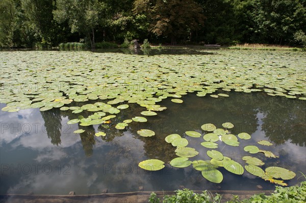 Domaine De Longchamp,Etang De Longchamp