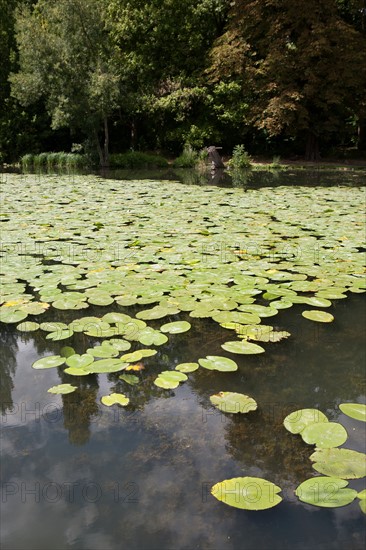 Domaine De Longchamp,Etang De Longchamp