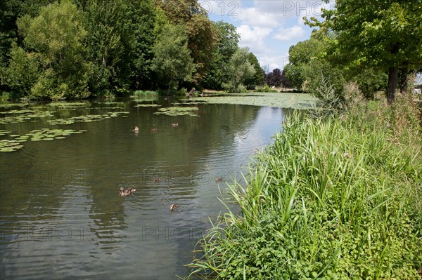 Domaine De Longchamp,Etang De Longchamp