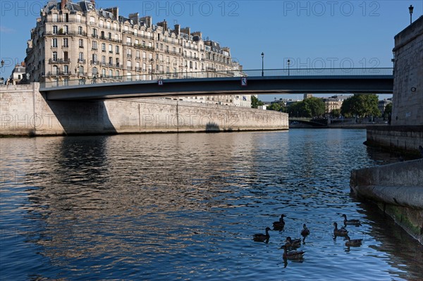 L'Ile De La Cité, Quai Aux Flleurs Depuis le quai D'Orleans