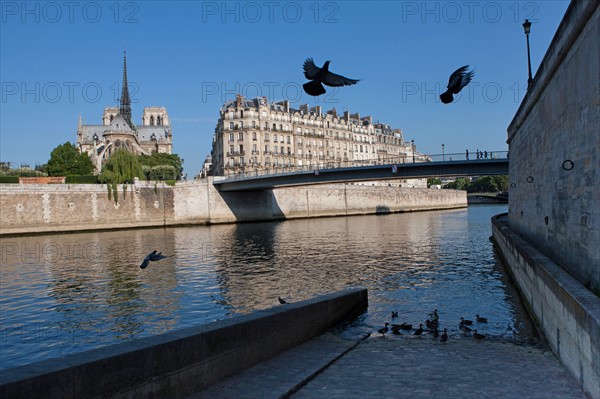 L'Ile De La Cité, Quai Aux Flleurs Depuis le quai D'Orleans