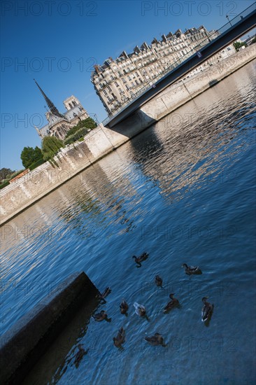 L'Ile De La Cité, Quai Aux Flleurs Depuis le quai D'Orleans