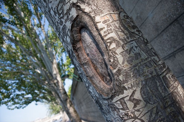 Quai Francois Mitterrand (Quai Des Tuileries) Berges de Seine, Arbre Grave De Messages D'Amour