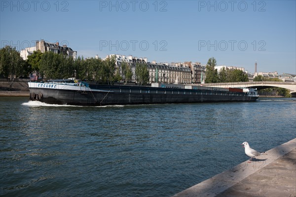 Quai Francois Mitterrand (Quai Des Tuileries) Berges de Seine, Mouette Et Péniche