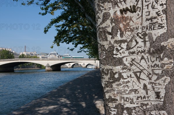 Quai Francois Mitterrand (Quai Des Tuileries) Berges de Seine, Arbre Grave De Messages D'Amour