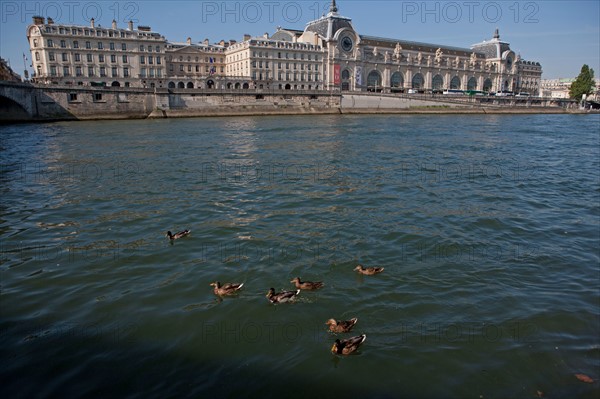 Quai Des Tuileries, Face Au Musée D'Orsay