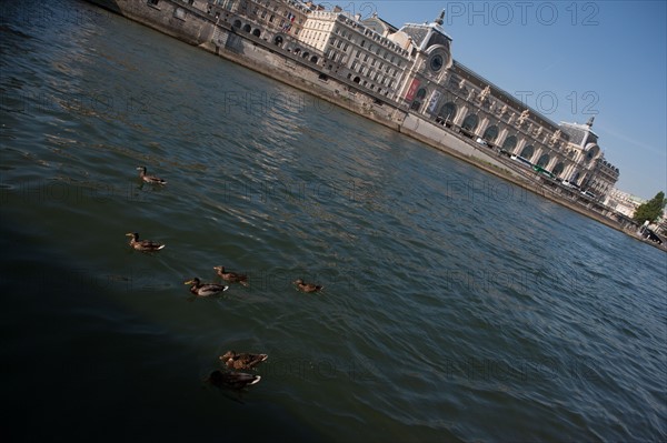 Quai Des Tuileries, Face Au Musée D'Orsay