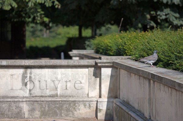 Jardin Des Tuileries,