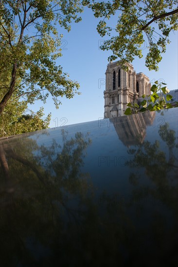 Quai De La Tournelle, Rive Gauche