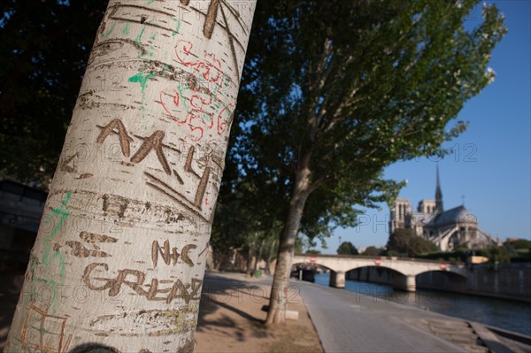 Quai De La Tournelle, Rive Gauche