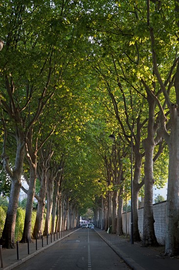 Rue Emile Richard, Cimetiere du Montparnasse