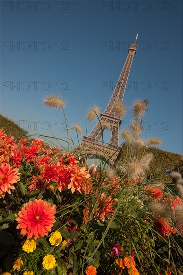 Champ de Mars, Tour Eiffel