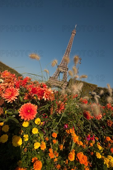 Champ de Mars, Tour Eiffel