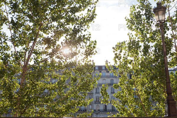 Ile Saint Louis, Quai De Bethune