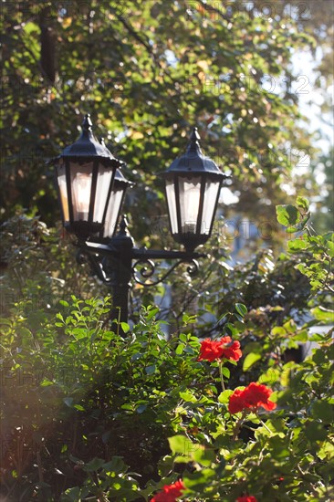 Le Marais, Lampadaire Et Rosier