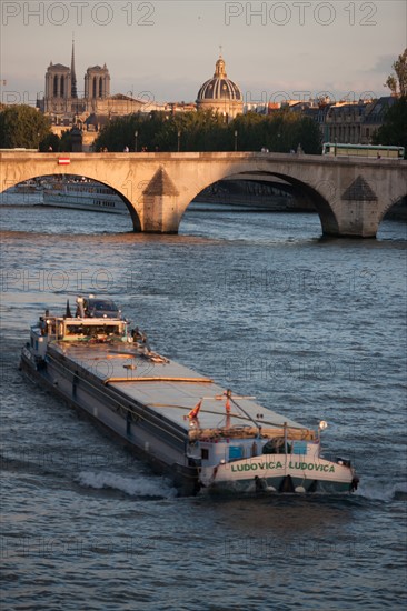 Pont du Carrousel Et Bateau Touristique,Notre Dame Et Coupole De L'Institut