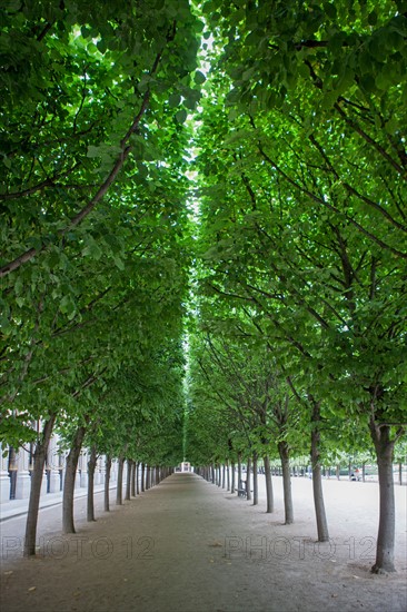 Jardins du Palais Royal,