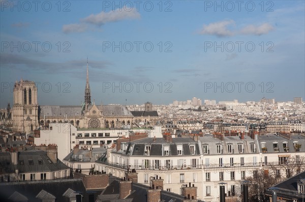 Notre-Dame de Paris Cathedral