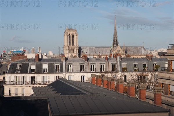 Cathédrale Notre-Dame de Paris