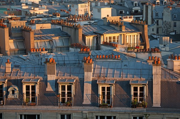 View over Paris roofs