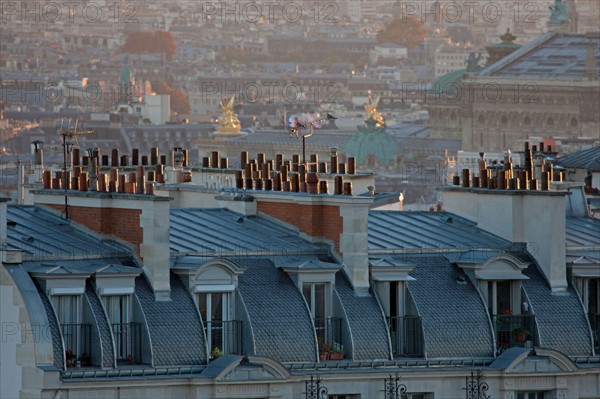 View over Paris roofs