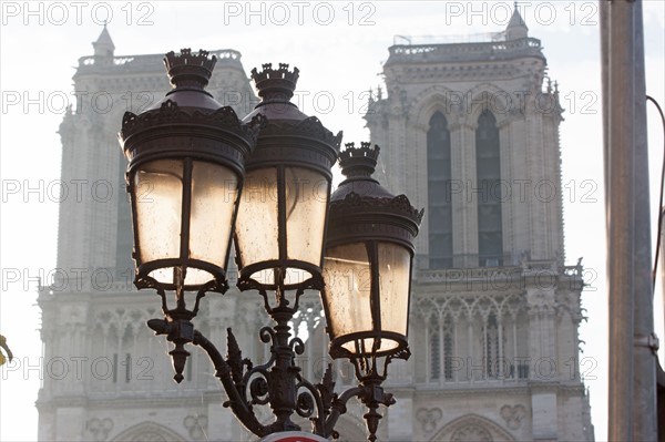 cathedrale Notre-Dame de Paris, art gothique et neo gothique