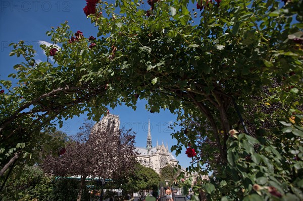 5e Arrondissement, Square Rene Viviani