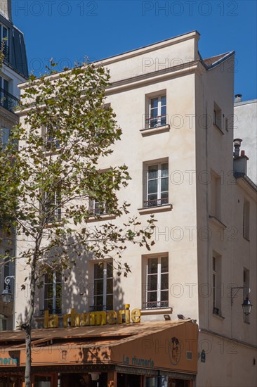 166 boulevard Saint Germain, La Rhumerie