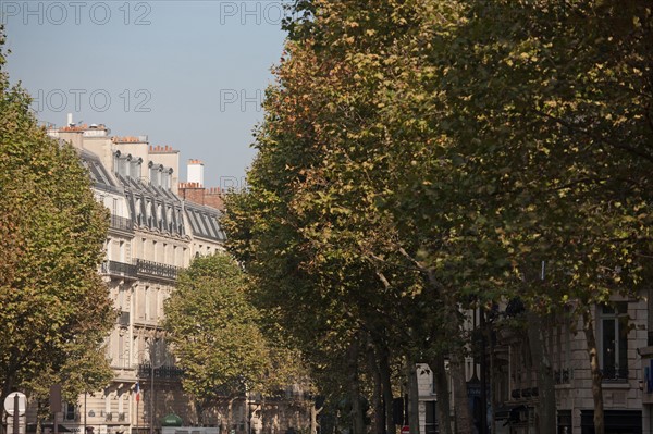 Boulevard Saint Germain