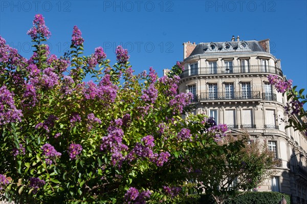 8th Arrondissement,