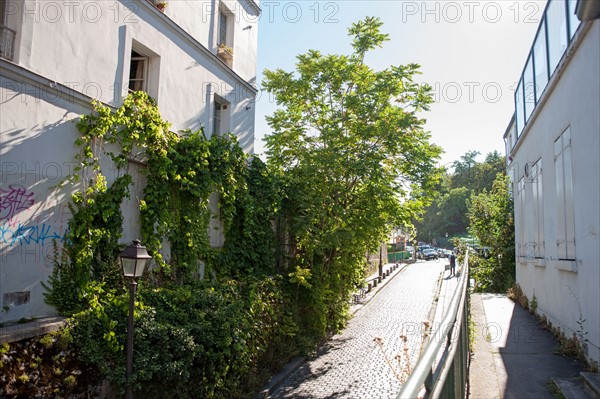 18e Arrondissement, Rue Saint Vincent