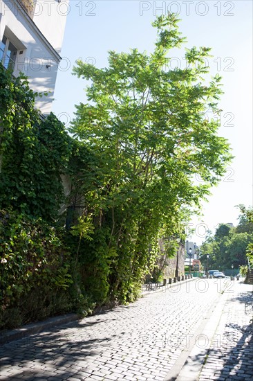 18e Arrondissement, Rue Saint Vincent