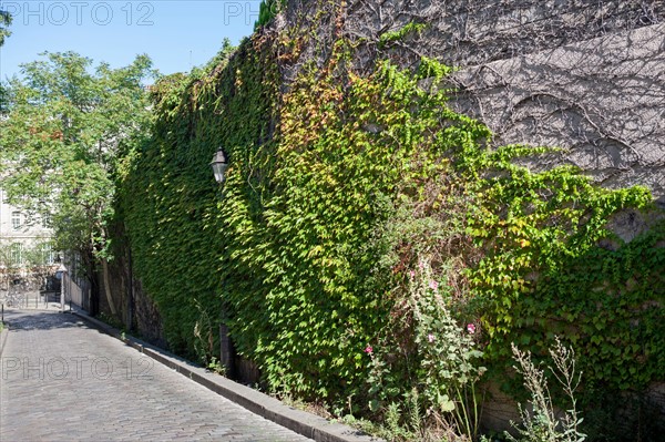 18th Arrondissement, Rue Saint Vincent