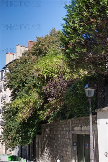 89 rue Lepic, Georges Courteline y vécut