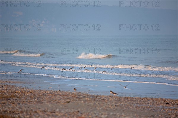 Deauville hors saison