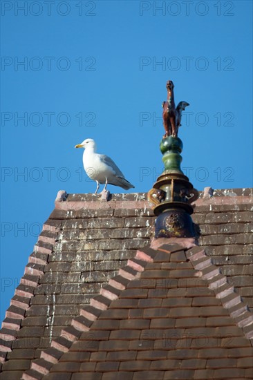 Deauville hors saison