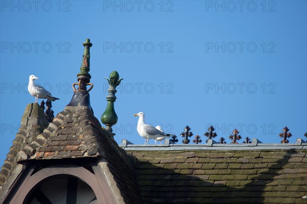 Deauville hors saison