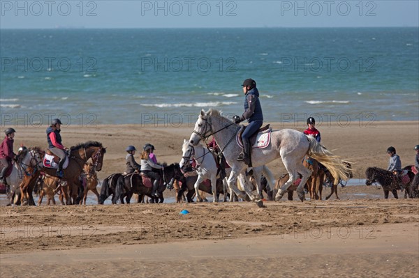 Villers-sur-Mer, chevaux et poneys sur la plage