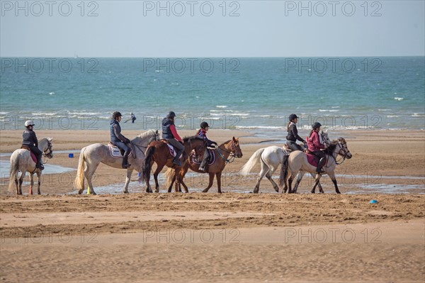 Villers-sur-Mer, chevaux et poneys sur la plage